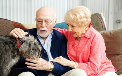 Pets and Seniors – Decreasing Loneliness and Beyond